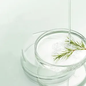 Huile d'arbre à thé 100% pure, fabricant d'huiles essentielles en gros et fournisseur en vrac, qualité cosmétique pour la peau, huile d'arbre à thé en vrac - Product Image 3