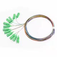 Customized Simplex OS2 Single Mode UPC 12 Core Fiber Optic Pigtail High Quality Simplex OS2 Single Mode Sc Upc 12 Fiber Optic