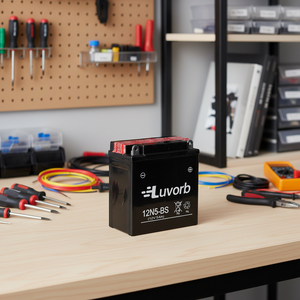 <span class=keywords><strong>Batterie</strong></span> de <span class=keywords><strong>moto</strong></span> Luvorb de haute qualité <span class=keywords><strong>12V</strong></span> 5Ah 12N5A-BS 6.5Ah 9Ah 12Ah AGM <span class=keywords><strong>Batterie</strong></span> au plomb-acide électrique pour pièces de <span class=keywords><strong>moto</strong></span> - Product Image 3