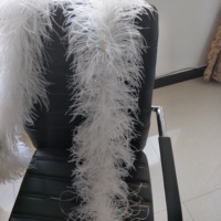 Écharpe en plumes d'autruche de luxe, douce et moelleuse, 2, 4, 6, 10, 20 plis, accessoires vestimentaires pour mariage, fête, robe, spectacle sur scène