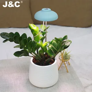 J & C Minigarden室内智能花园家居和花园智能花盆生长光