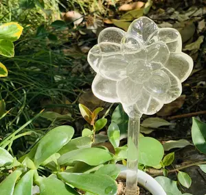 Globo de riego de plantas, vidrio transparente soplado a mano, bombillas de autoriego, novedad