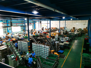 ERA Nhà Sản Xuất Cung Cấp Phụ Kiện Tiêu Chuẩn CPVC DIN Bộ Chuyển Đổi Khuỷu Tay 90 Độ Với Chèn Đồng - Product Image 6