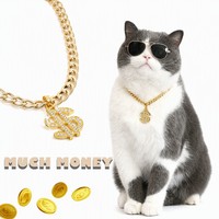 Woobulsland Collier pour chien et chat avec signe de dollar en cristal, plaqué or, léger, réglable, 4 tailles (XS-50 cm)