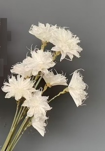 Flores Secas Hechas a Mano, Epiphyllum, Cereus Artificial <span class=keywords><strong>de</strong></span> Floración Nocturna para Arreglos Florales, Gran Venta 2024 - Product Image 3