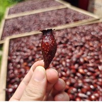 Hierbas Chinas Jin Ying Zi Premium, Fruta Seca de Rosa Laevigata, Suministro a Granel Directo de Fábrica para la Venta