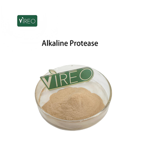 Enzim Protease Alkali Protease Dasar Suplemen Kesehatan Protease Alkali - Product Image 1
