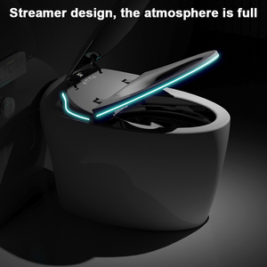 Egg Shaped All in One Fully Automatic Electric <strong>Bidet</strong> Smart Toilet with Remote Control for Home Use - Product Image 4