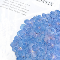 Fiori di Ortensia Essiccati e Pressati per Arte in Resina, Fai da Te, Decorazioni per Matrimoni, Regalo per Mamma, Insegnante, San Valentino, Compleanno, Bomboniera