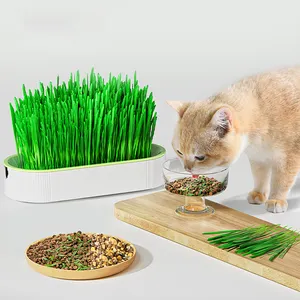 Pet hidroponik kedi çim Catnip Pot kedi aperatif dikim tepsi Pet kedi sağlıklı aperatif çim dikim