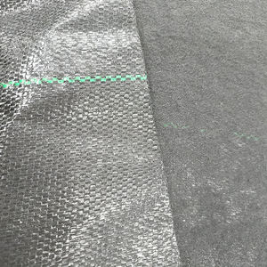 Tela de paisaje Cubierta de suelo Barrera de malezas Tela de control de malezas <span class=keywords><strong>Malla</strong></span> antihierbas - Product Image 3