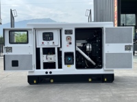 Générateur Diesel 200 kVA Insonorisé, Électrique, Énergie Alternative, Genset 50Hz 60Hz Super Silencieux, Électricité 200 kVA 160 kW