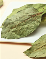 Feuilles de Kaki (Shi Ye Kaki Folium Persimmon Leaf) – Matériaux Herbacés Chinois de Haute Qualité – Produits Alimentaires Sains – Feuilles Séchées – Épices pour Régime