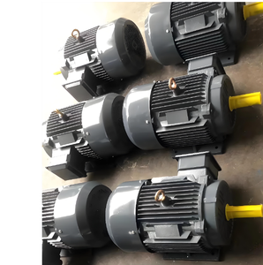 Moteur asynchrone triphasé Innomotics 100% original 30 kW ~ 200 kW IE3 1000 tr/min 50 Hz IP55 IC411 Moteur à montage polyvalent - Product Image 4