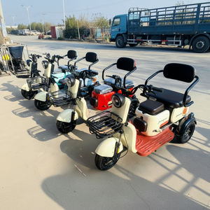 รถสามล้อไฟฟ้า 3 ล้อ รุ่นปี 2025 ทันสมัย ความเร็วเดียว 48V สำหรับผู้โดยสาร - ขายตรงจากโรงงานจีน และเป็นรถมินิคาร์ที่สะดวกสบาย - Product Image 1