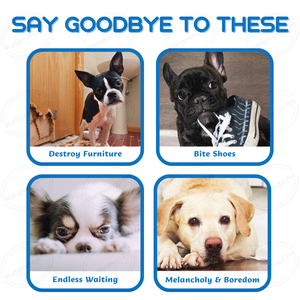 Nuovo multifunzionale Pet Slow Feeder <span class=keywords><strong>Dog</strong></span> Nail Trimming Scratch Board Interactive <span class=keywords><strong>Dog</strong></span> Puzzle Toy - Product Image 6