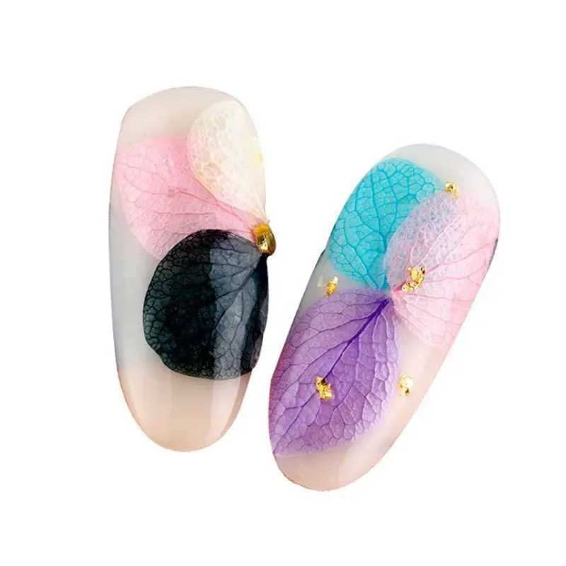 Samana flor seca para unhas, 12 cores secas para manicure decorações artísticas naturais floral suprimentos para unhas seco acessórios para unhas