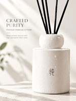 Diffuseur de parfum d'ambiance en céramique 100 ml avec bâtonnets en fibre à parfum longue durée pour chambre, salon, cadeau