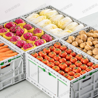 Caisse de stockage en plastique pliable-Conteneur empilable en maille ventilée pour fruits et légumes, boîte de déménagement pliable en PP robuste