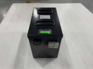 Batterie personnalisée pour tricycle Tuktuk 48V 50AH, longue durée de vie, sans entretien, LFP5150, tricycle Tuktuk - Product Image 1
