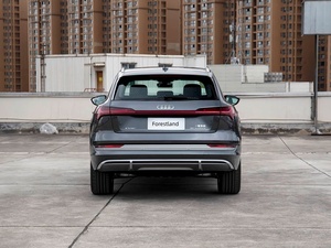 SUV <span class=keywords><strong>E</strong></span>-<span class=keywords><strong>tron</strong></span> de Lujo Totalmente Mantenido con Rieles de Techo de Fábrica, Suspensión Neumática y Techo Panorámico, Entrega a Todos los Puertos Africanos - Product Image 6