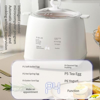 Cuiseur à œufs automatique multifonction intelligent avec arrêt automatique, boîtier en plastique écologique, silencieux pour usage domestique