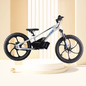 มอเตอร์บาลานซ์ขนาด20นิ้วสำหรับเด็กมอเตอร์600วัตต์แข็งแรงมากขึ้นสไตล์ fxb - Product Image 6