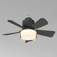 24W E26 E27 Prise 5 Lames Ovales Changement de Couleur Télécommande Mini Ventilateur Ampoule Ventilateur de Plafond de Lumières