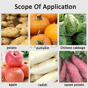 Machines de traitement des aliments pour animaux de ferme : Lames de déchiquetage <span class=keywords><strong>et</strong></span> hachoir pour légumes, chou, citrouille - Product Image 6