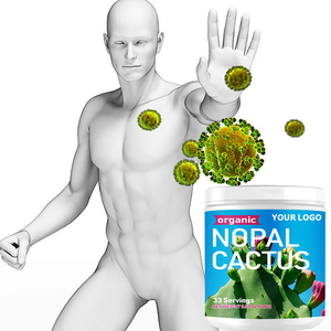 Nopal Cactus Powder Sugar-Free <strong>Fiber</strong> <strong>Supplement</strong> Supports Gut Support Ideal for <strong>Daily</strong> Wellness Support Weight Management OEM ODM - Product Image 4