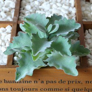 Hot Sale <strong>Small</strong>/mini <strong>Potted</strong> <strong>Plants</strong> <strong>Small</strong> Mini Size Artificial Succulent with Pot <strong>for</strong> Bed Room Decoration - Product Image 2