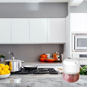 Gadgets de cuisine, mini robot culinaire électrique 250 ml, mixeur à ail, USB sans fil, plastique écologique - Product Image 4