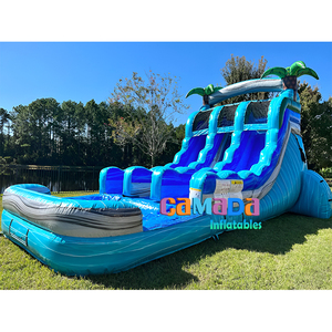 Inflatable nảy trượt thương mại Đảng cho thuê Bouncer cá heo trượt nước Inflatable trượt nước với hồ bơi để bán - Product Image 3