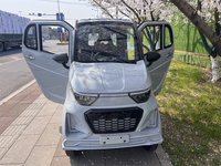 Nouvelle voiture utilitaire électrique miniature 2 places 2025 avec homologation CEE, conduite à droite, volant à gauche, caméra arrière, prix pour adultes, Chine