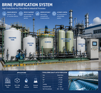 Système de purification d'eau salée industrielle, installation de traitement de la saumure avec colonne de résine échangeuse d'ions pour l'industrie chimique