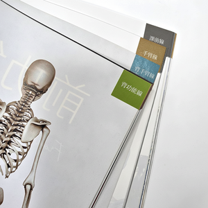 Livres d'éducation médicale à couverture souple, vente chaude, impression avec un bon service client personnalisé à Taiwan, 100% fabriqué à Taiwan - Product Image 1