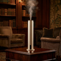 Diffuseur d'huiles essentielles à diffusion par air froid, direct usine, pour huiles aromatiques, marque privée, OEM/ODM, logo personnalisé, vente en gros B2B