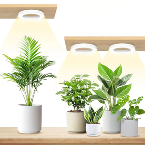 Hình Dạng Vòng Phát Triển Đèn Trần Nhà Máy Phát Triển Ánh Sáng LED Phát Triển Đèn Cho Các Nhà Máy Trong Nhà Thay Đổi Độ Sáng Với Bộ Đếm Thời Gian COB Chip Cho Nở - Product Image 2