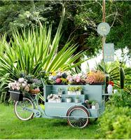 Modellen van op maat gemaakte, verplaatsbare bloemenkarren voor tentoonstellingen, decoratieve auto's, creatieve displays en promotionele karren