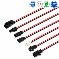Rangkaian Kabel Konektor 2 Pin Kustom, Kabel Pigtail Daya, OEM ODM, Rangkaian Kabel Elektronik Otomotif