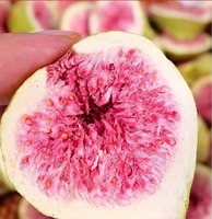 Gesneden gevriesdroogde vijgen, zoete smaak, geconserveerd, gezonde snack, natuurlijke stijl, vacuüm verpakt, bulk groothandel gedroogd fruit