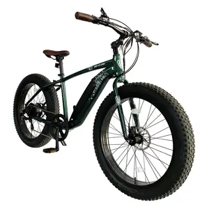 2021 핫 세일 중국 공장 48v 뚱뚱한 타이어 전기 자전거 450w 큰 힘 전기 자전거