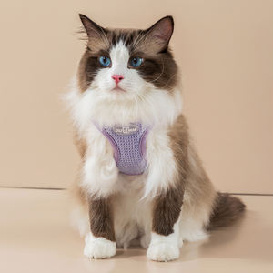 품질 보증 소형 개와 고양이를 위한 경량 고양이 하네스 및 가죽 끈 세트 통기성 방수 반사 하네스 - Product Image 1