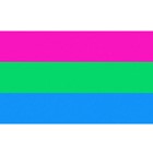 07Polysexual Flag