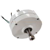 Générateur à aimants permanents sans engrenage triphasé basse vitesse 100W 12V 24V 48V AC Turbine éolienne Turbine hydraulique DIY Windkraftanlage