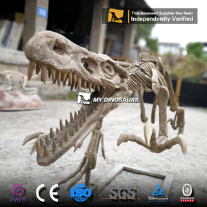 Mi <span class=keywords><strong>dinosaurio</strong></span> Parque Jurásico <span class=keywords><strong>esqueleto</strong></span> <span class=keywords><strong>Velociraptor</strong></span> resina fósil Artificial para la exposición del Centro <span class=keywords><strong>de</strong></span> Ciencia - Product Image 6