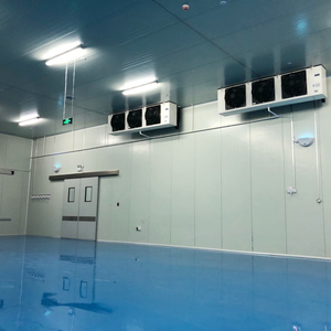 Contenedor de congelador combinado móvil de 20 pies y 40 pies, refrigerador de 20 pies, sala de almacenamiento en frío con compresor automático, punto de venta clave - Product Image 6