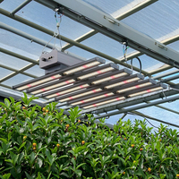 CE RoHS Lampe de culture LED dimmable 1000W 800W 640W pour serre commerciale, pour la croissance des plantes, avec puce de conception verticale pour légumes et fleurs