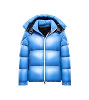 Parka d'hiver à capuche de créateur, manteau surdimensionné rembourré en duvet d'oie à bulles, Logo personnalisé pour hommes