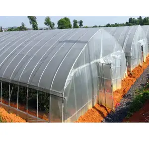 Durable Agricultural Greenhouse Cover Pelicula De Plastico Para Invernadero